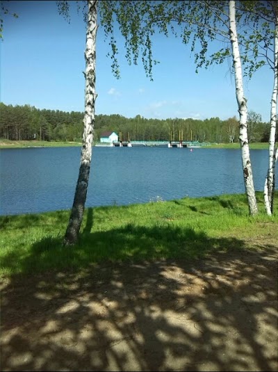 Photos of 'sosnovyy Bor'