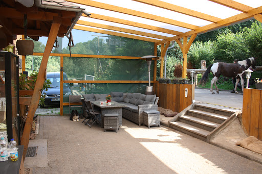 River Ranch Westernreiten Eifel - Thumbnail