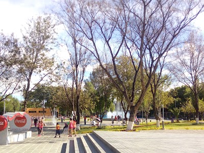 park