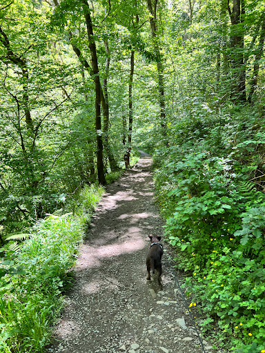 Henrhyd Falls - Thumbnail