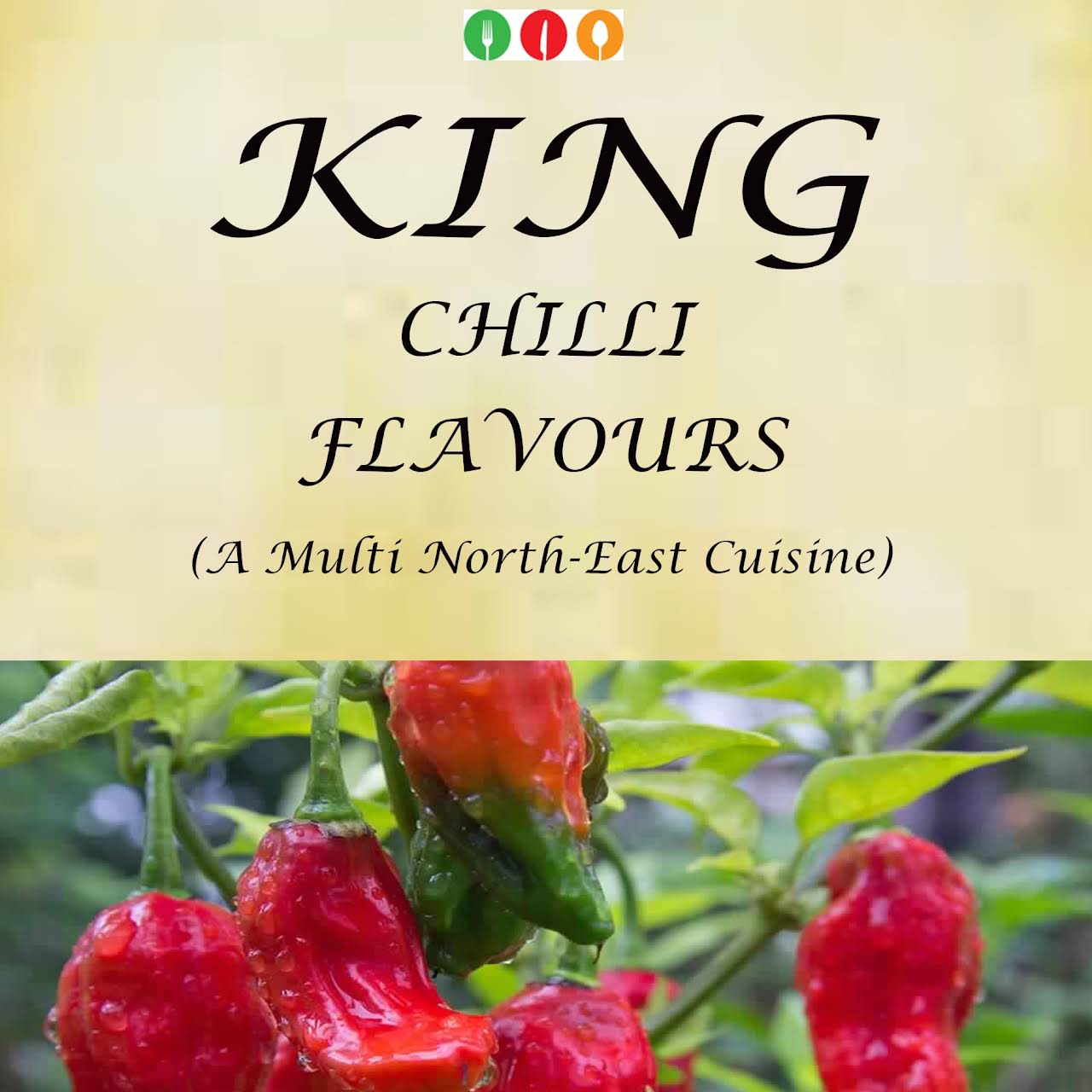 King Chilli Flavours Fast Food Restaurant in New Delhi