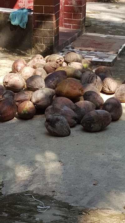 Photos of Ahmed Sikder's Shop