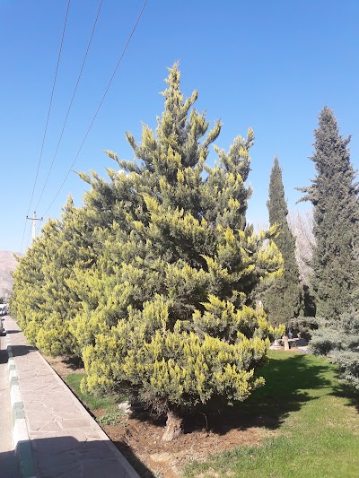 Photos of Javanmardan Park