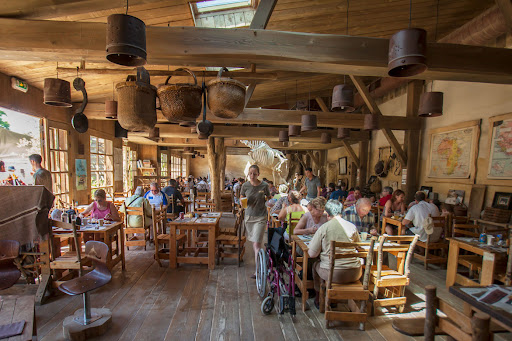 Le Camp Des Girafes