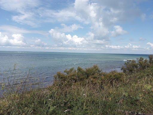 Maison de vacances à Saint-Denis d'Oléron - Thumbnail