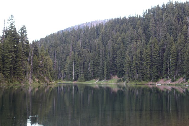 Goat Rocks Wilderness