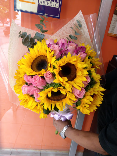 Espacio floral - Visual