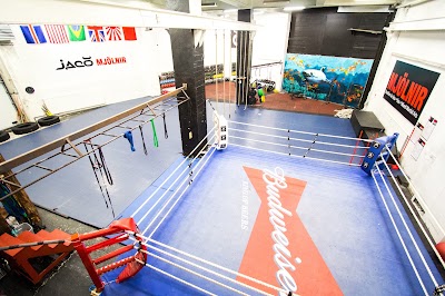 Photos of Mj&ouml;lnir MMA