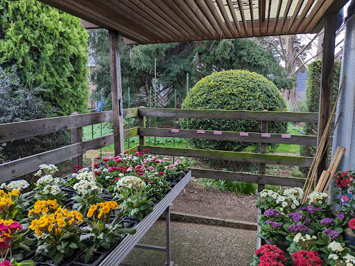 Plagges Blumenladen - Thumbnail