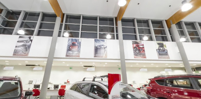 Toyota Łódź - Sprzedawca samochodów