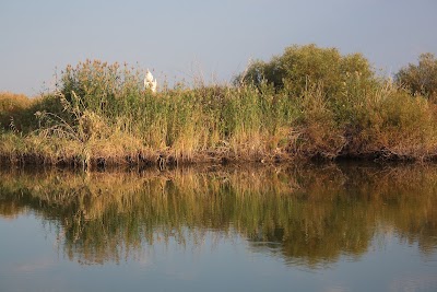 Photos of Intumak