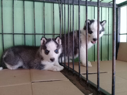 Veterinaria Villas de La Cantera