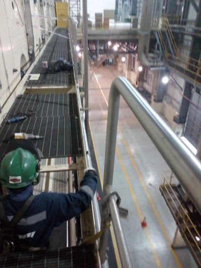 Photos of Valdivia cellulose plant