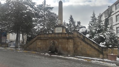 Photos of Tozcan Turizm