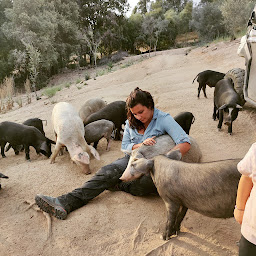 Photo n°15 de Charcuterie corse l'usu corsu à Olivese (Magasin de produits de la ferme)