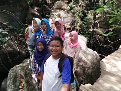 Photos of Mangrove Kuale