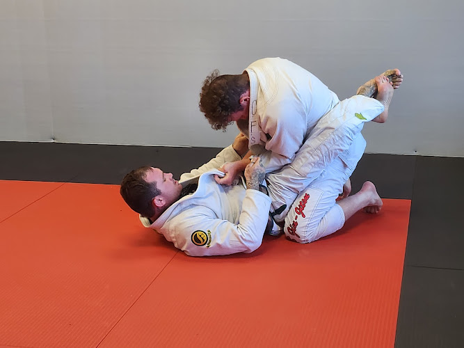 COMBATIVE FIGHTING SYSTEMS - mixed martial arts in Colorado Springs, Colorado