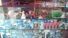 Fish Aquarium Centre lahore