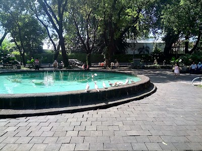 Photos of Taman Suropati