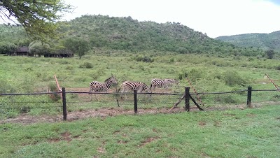Photos of Bakubung