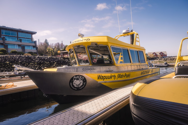 Ahous Adventures by null