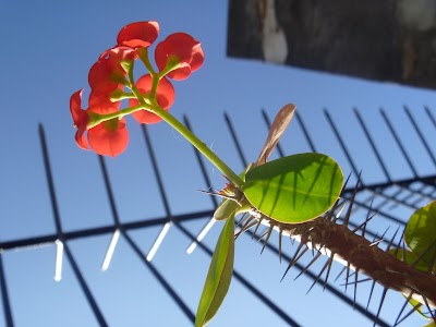 Photos of Hostel Casa Mercy