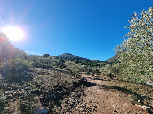 Corzo Viewpoint - Visual