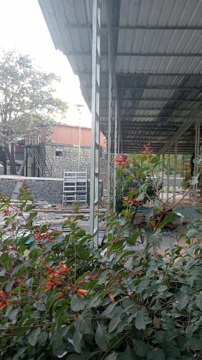 Gallery image 19