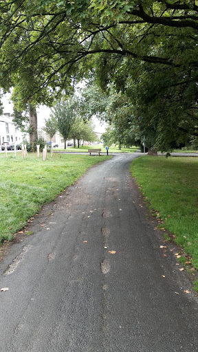 The white path - Visual