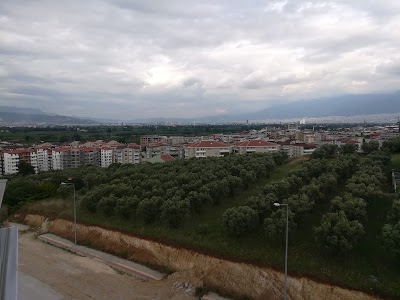 Photos of Panorama Sitesi Yunuseli