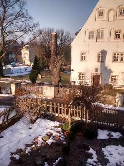 Photos of Hotel Am Rittergut