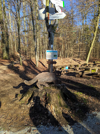Wildkatzenpfad Banzer Wald