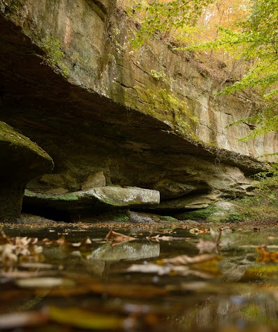 Piney Creek Ravine Nature Preserve