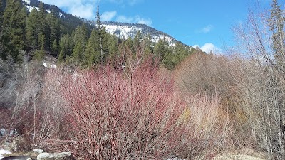 Photos of Hoback Campground