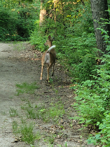St. Patrick's County Park - Thumbnail