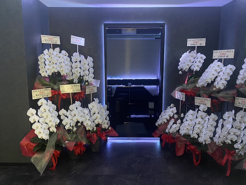 エルフ福岡天神店