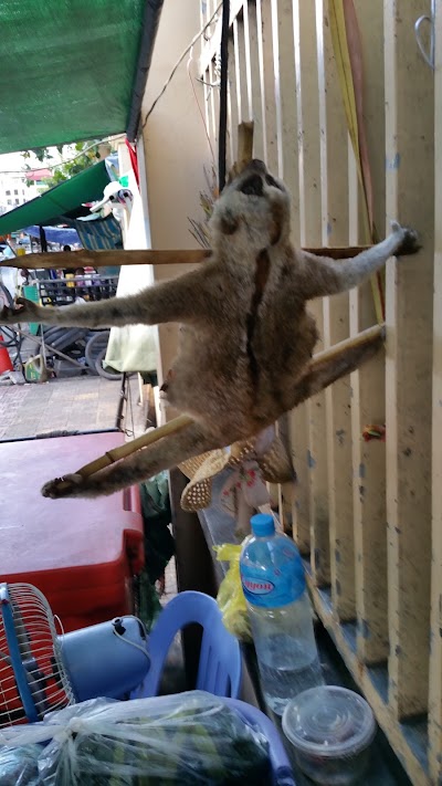 Photos of ពេទ្យសត្វណាវេតកូ​​ NAVETCO Animal Clinic