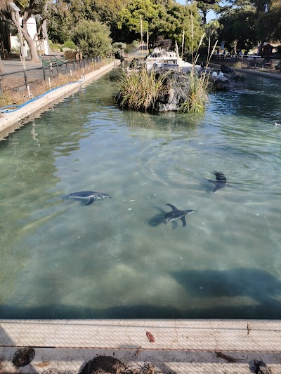 Penguin Island at The San Francisco Zoo
