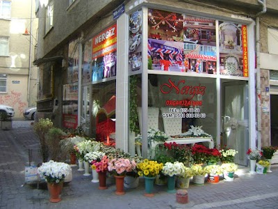 Photos of Orkide Cicek Evi