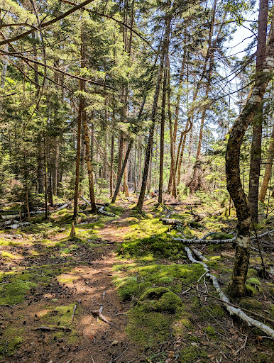 Greenbie Natural Area - Blue Hill Heritage Trust