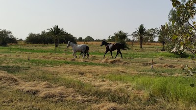 Photos of Abuscabh Project