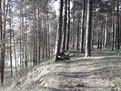 Photos of Morzhovyy Plyazh