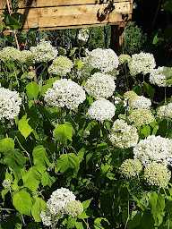 Photo n°3 de Magali Comte Wattel Constellations Familiales systèmiques à Andance (Centre de bien-être)