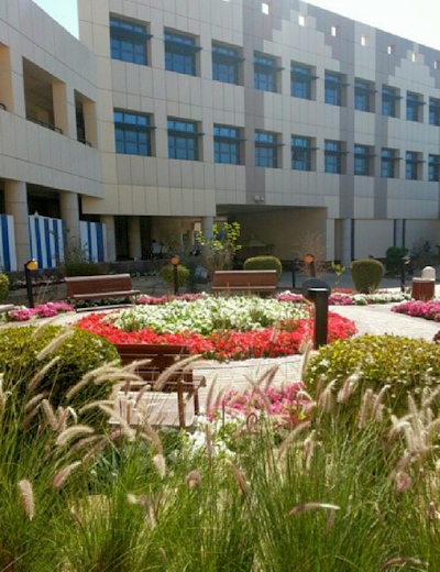Photos of Law School