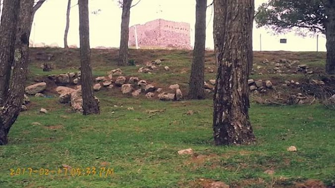 Cimetière Sidi Boujemaa, Author: Gourgo كوركو