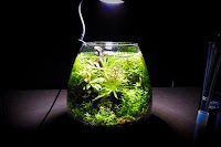 BAR AQUA CAVE(バーアクアケイブ）東中野