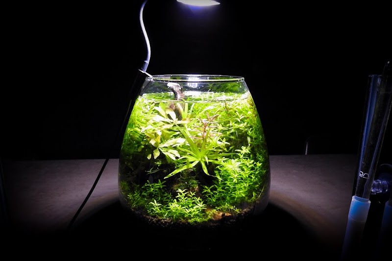 BAR AQUA CAVE(バーアクアケイブ）東中野