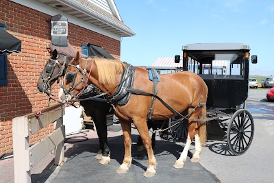 Photos of AAA Buggy Rides