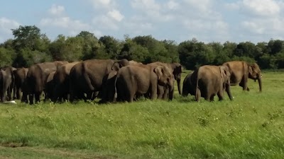 Photos of Look Lanka Travel House Tour Agency
