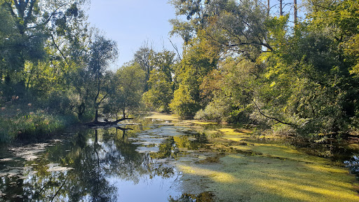 Réserve naturelle nationale de la forêt d'Offendorf